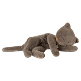 Maileg Sleeping Kitten Plush, Medium - Grey - PREORDER - due November