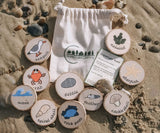 Green Earth Learning Beach Hunt Gift Set