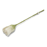 En Gry & Sif Tulip White