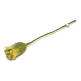 En Gry & Sif Tulip Light Yellow